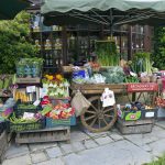 Marktplatz Suche & Biete