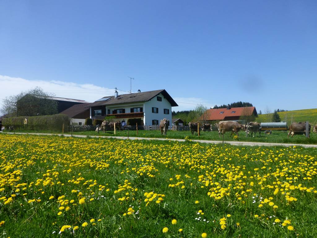 Landhaus Klöck Image