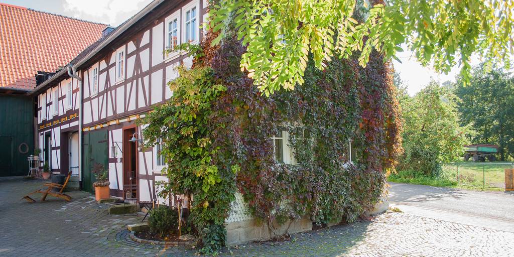 Wassermannshof Image