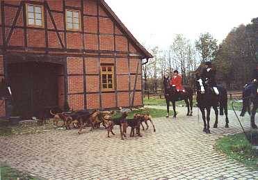 Reiterhof Hof Immenknick Image
